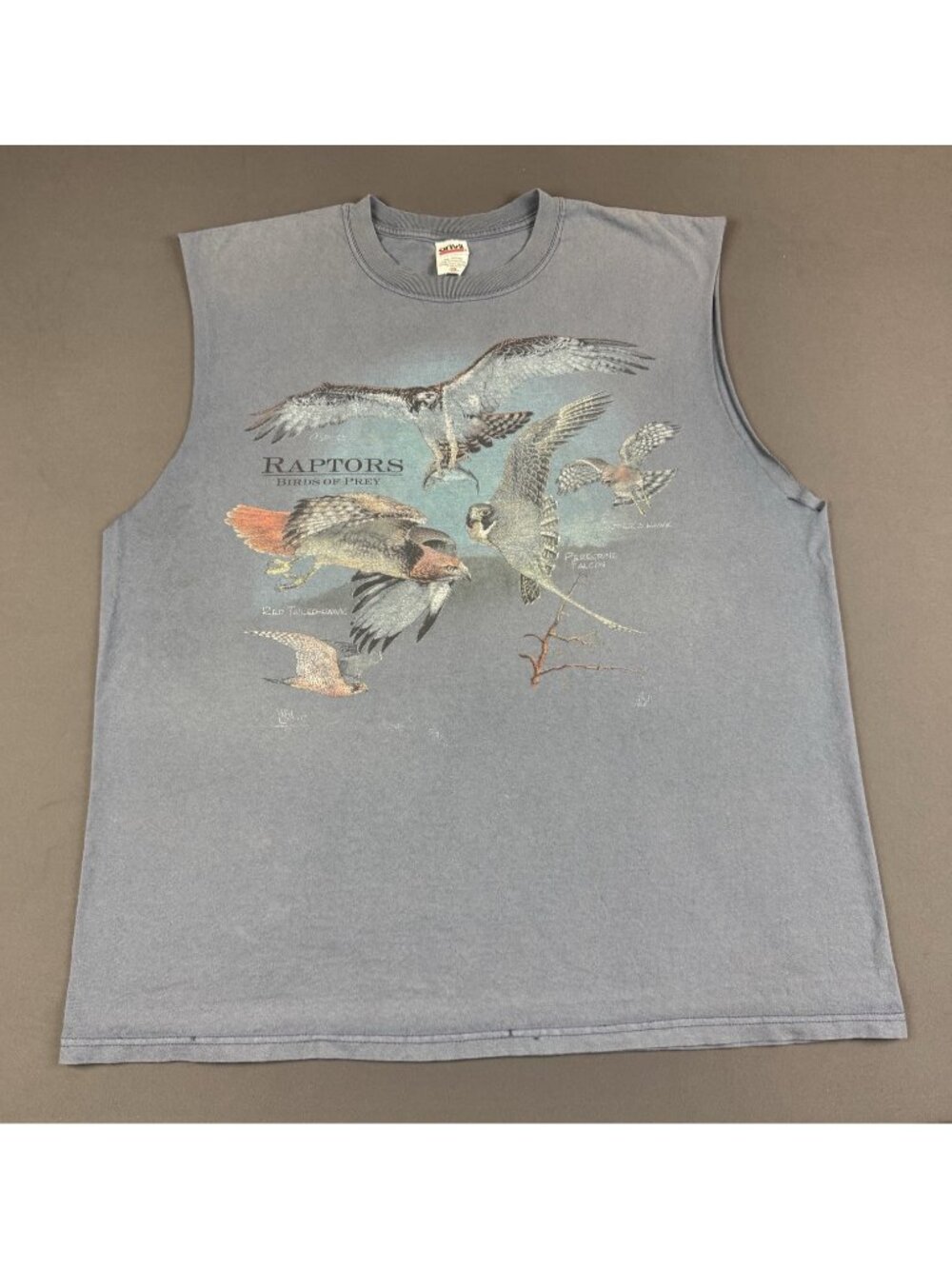 Rare Vintage Y2K Animal Tee Raptors Birds Of Prey Fade Art Nature Earth 2XL